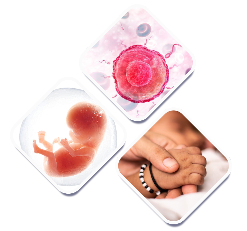 Test tube baby center in Nagpur