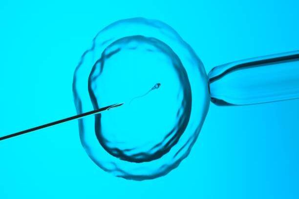 Artificial insemination illustration, blue background.