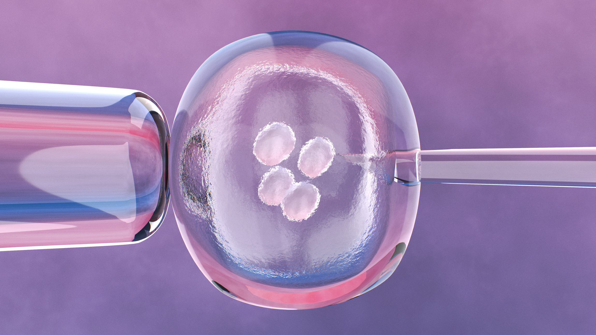Microscopic View of Embryonic Cell and Needle